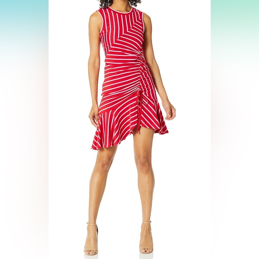 Parker Women's Lucia Ruched Skirt Midi Dress size small